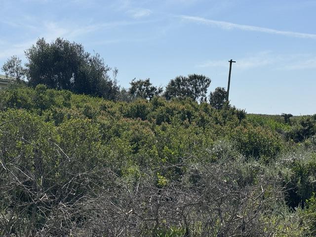 0 Bedroom Property for Sale in Boggomsbaai Western Cape